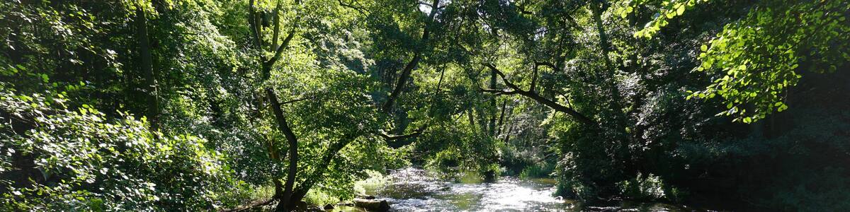 Rund um den Schweriner See
