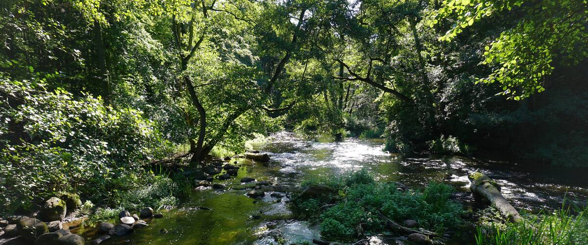 Rund um den Schweriner See