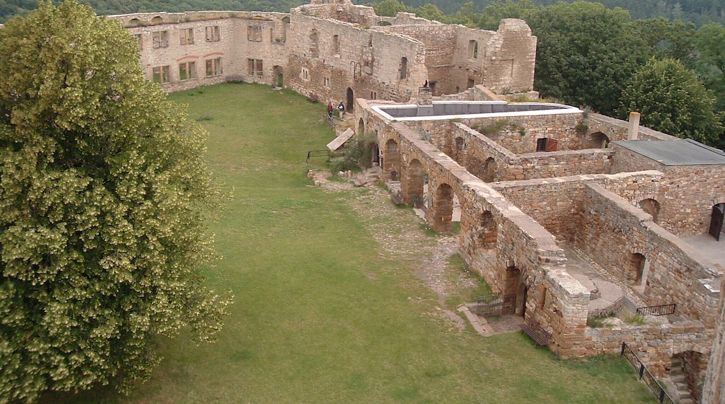 Wanderslebener Gleiche