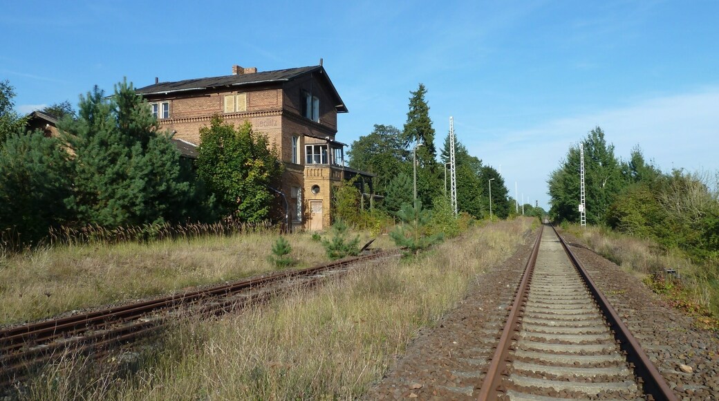 Bahnhof Nedlitz, Gleise