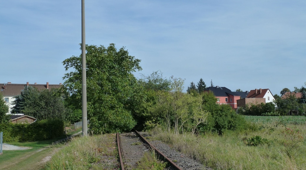 Güterglück train station,southern junction (Barby-Zerbst)