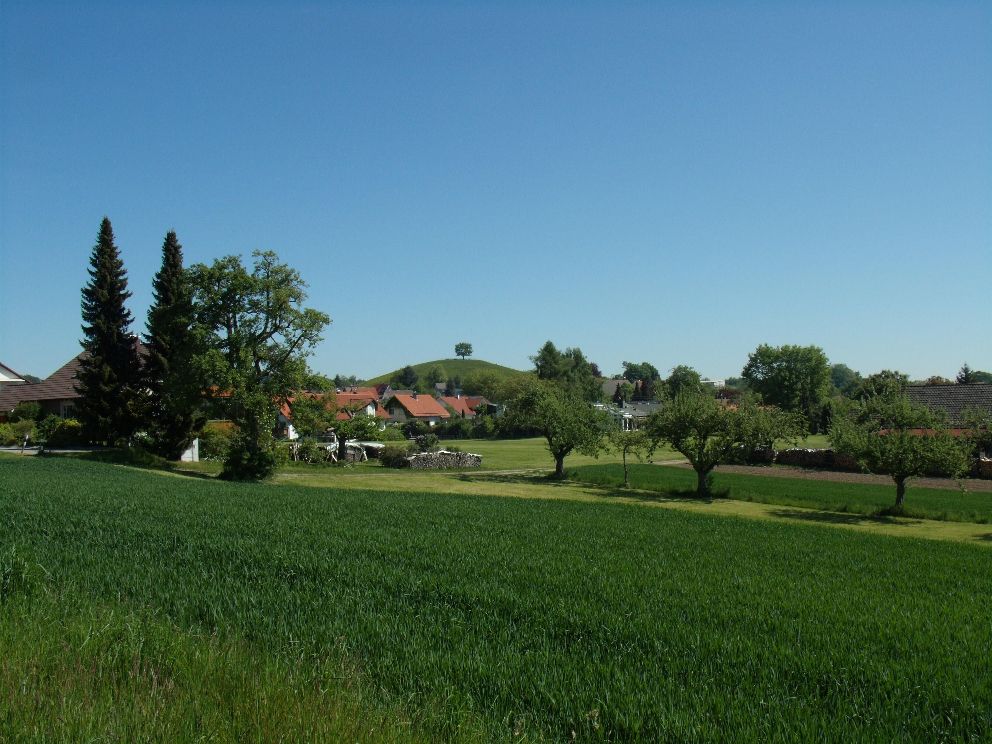 A rural landscape with a green field, trees, and houses with red roofs.