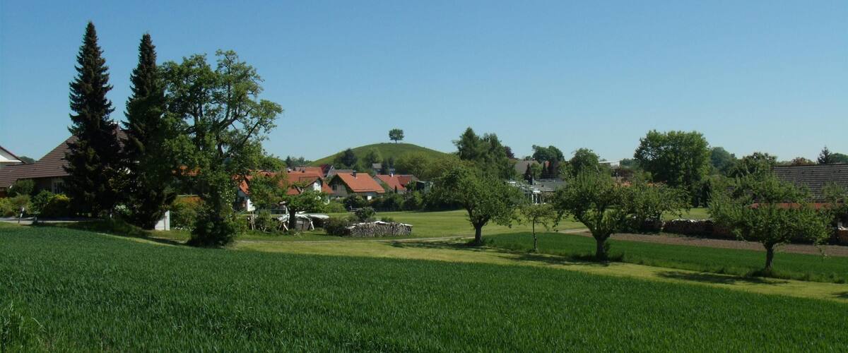 A rural landscape with a green field, trees, and houses with red roofs.