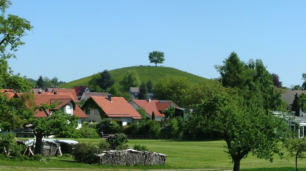 Kohlenberg