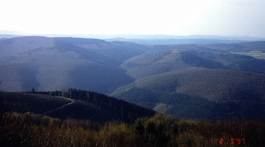 Katzenbuckel: Aussicht vom Katzenbuckelturm nach Nordwesten in den hessisch-badischen (Buntsandstein-)Odenwald; Landschaftselemente: Ittertal (vorne), Hohe Warte (bis 549 m, Mitte links), Neunkircher Höhe (bis 605 m, an Horizont ganz links); März 1997