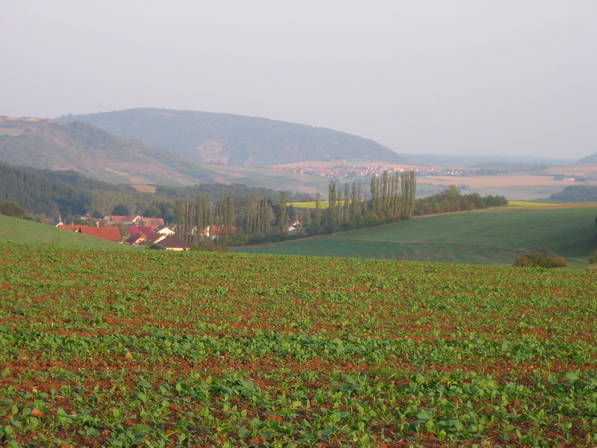 Oberstreit - Im Hintergrund Duchroth
