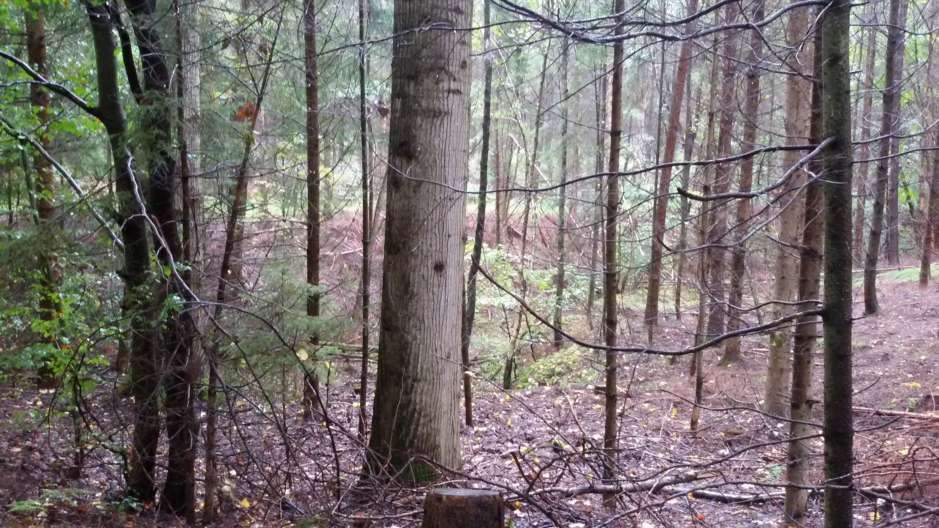 Hasengraben Herbst 2015