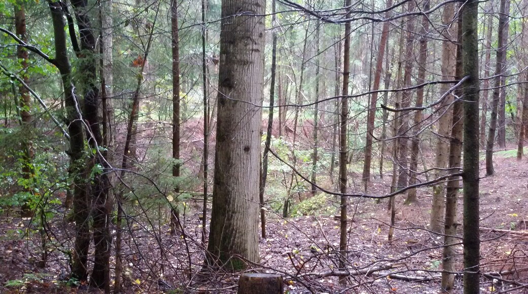 Hasengraben Herbst 2015