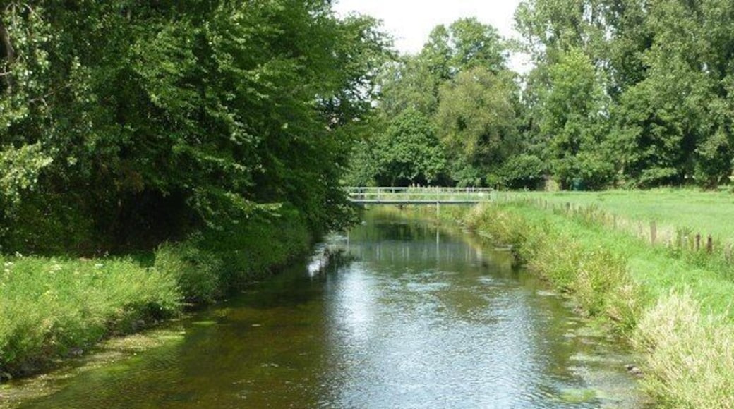 Die Niers bei Ziegelheide (Kempen)