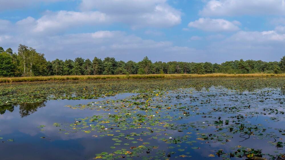 Schwattet Gatt, Naturschutzgebiet