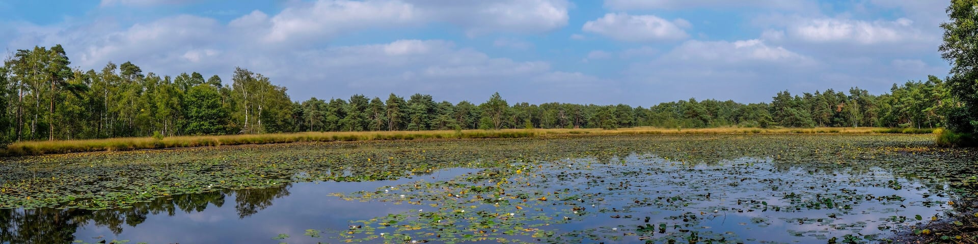 Schwattet Gatt, Naturschutzgebiet