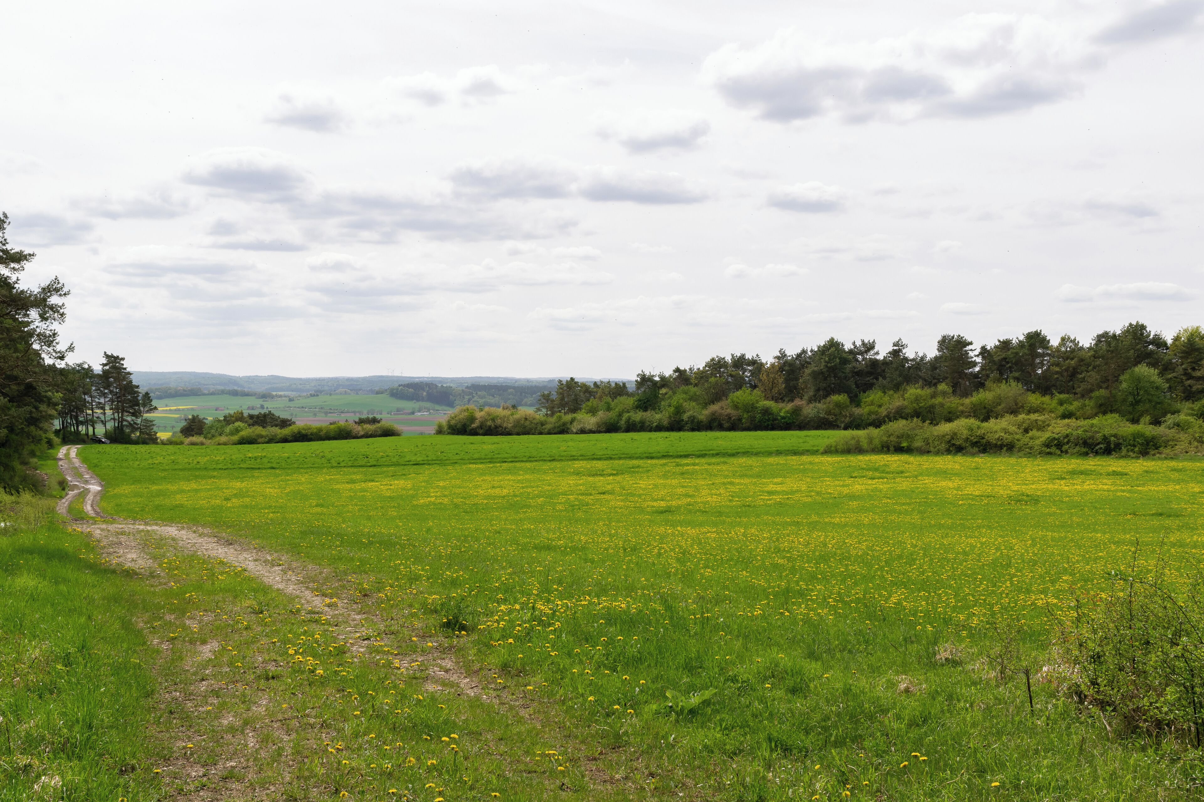 Naturschutzgebiet Iberg bei Hörle in Volkmarsen-Hörle, Landkreis Waldeck-Frankenberg