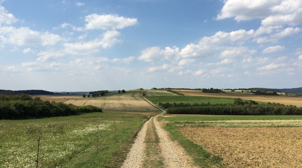 Der Volkmarser Weg (V) zwischen einem Steinbruch westlich von Ehringen und der Stadtgrenze zwischen Volkmarsen und Wolfhagen östlich von Lütersheim
