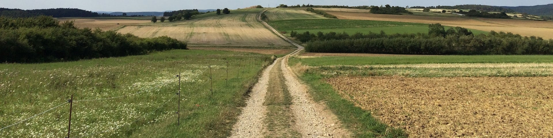 Der Volkmarser Weg (V) zwischen einem Steinbruch westlich von Ehringen und der Stadtgrenze zwischen Volkmarsen und Wolfhagen östlich von Lütersheim