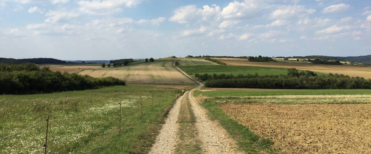 A rural landscape with a dirt road leading through fields and rolling hills under a partly cloudy sky.