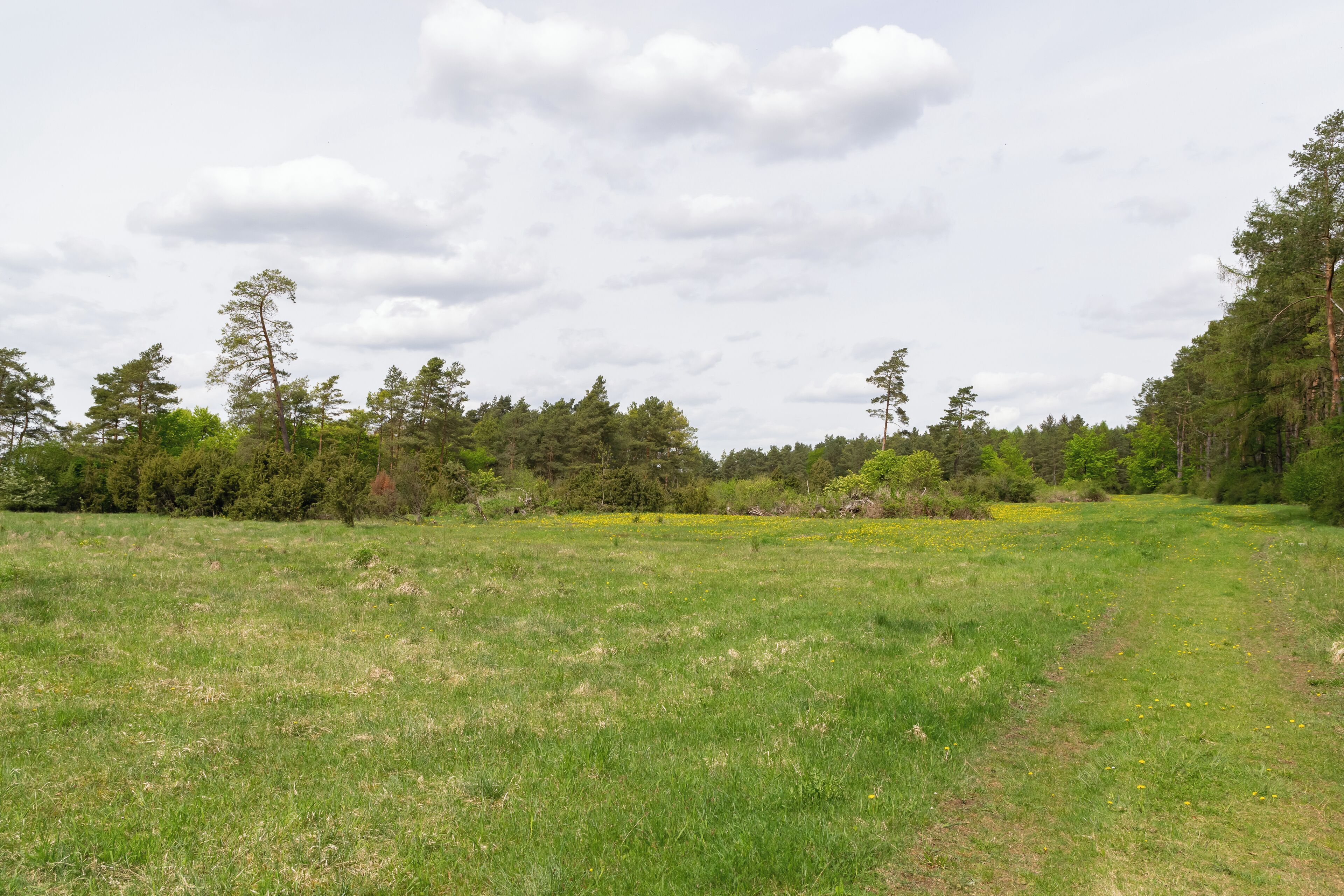 Naturschutzgebiet Iberg bei Hörle in Volkmarsen-Hörle, Landkreis Waldeck-Frankenberg