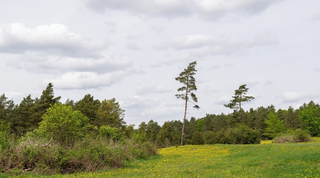 Naturschutzgebiet Iberg bei Hörle in Volkmarsen-Hörle, Landkreis Waldeck-Frankenberg