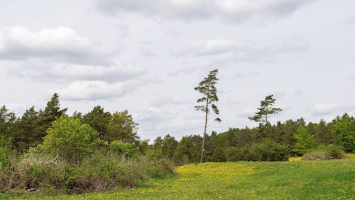 Naturschutzgebiet Iberg bei Hörle in Volkmarsen-Hörle, Landkreis Waldeck-Frankenberg