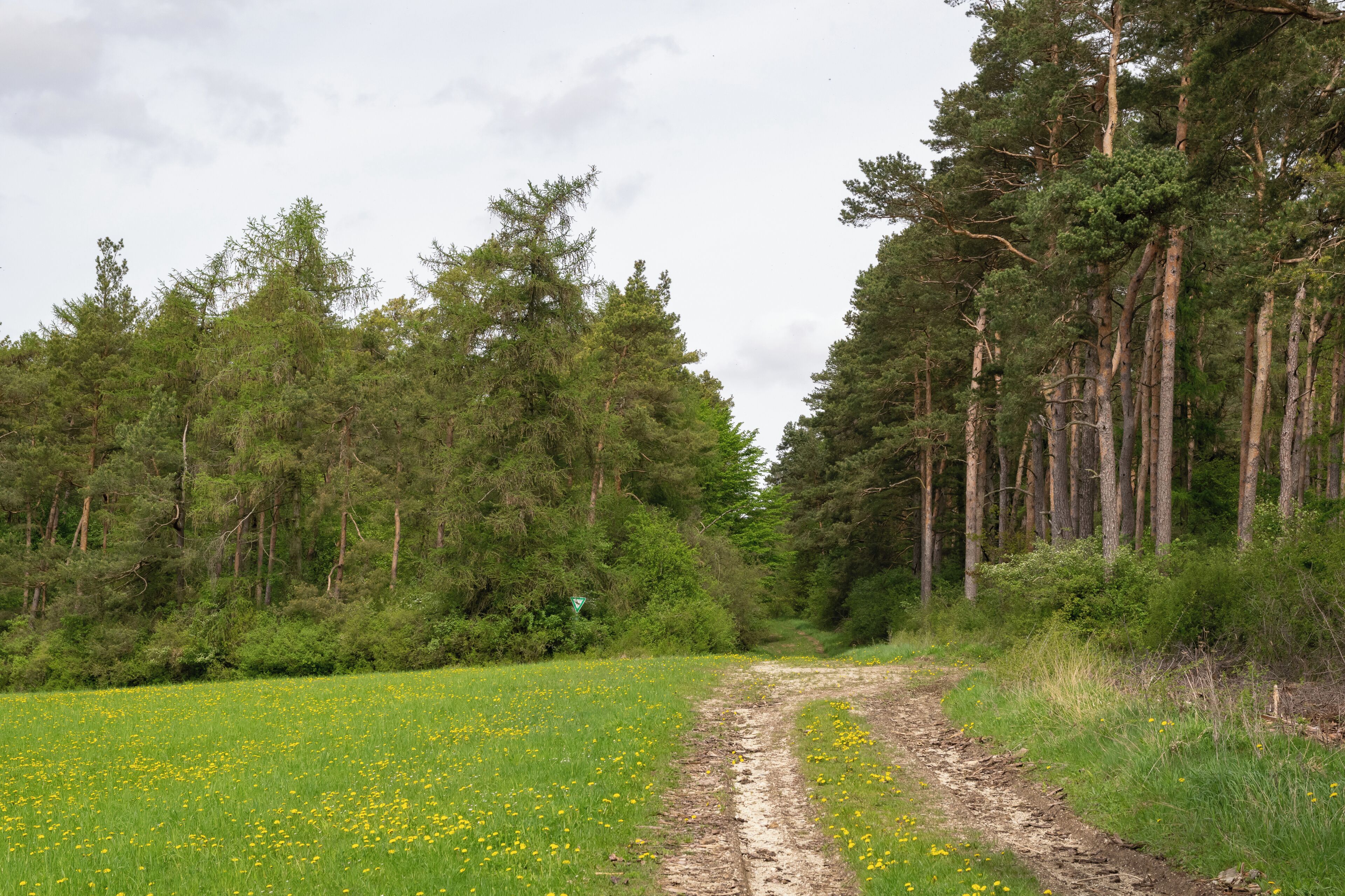 Naturschutzgebiet Iberg bei Hörle in Volkmarsen-Hörle, Landkreis Waldeck-Frankenberg