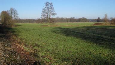 Nature reserve Versmolder Bruch near Versmold