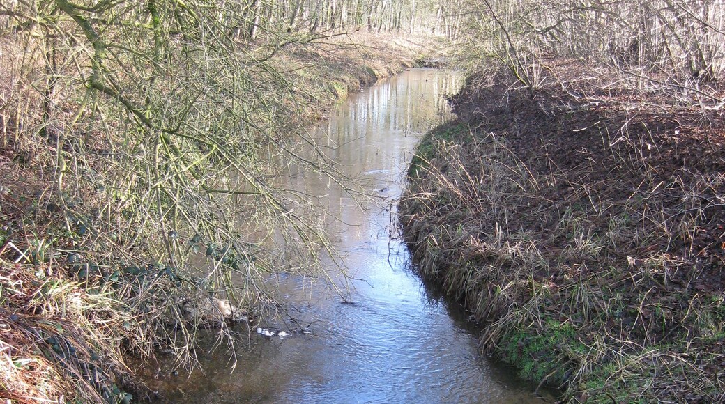 Hessel in nature reserve Versmolder Bruch near Versmold