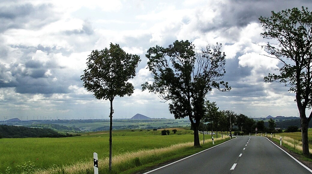 3 Spitzkegelhalden bei Mansfeld von der B 242