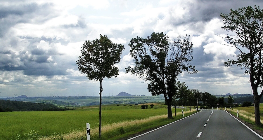 Un camino rural bordeado por árboles y campos verdes bajo un cielo nublado.