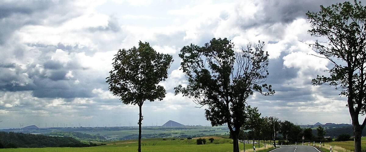 A rural road flanked by trees and green fields under a cloudy sky.