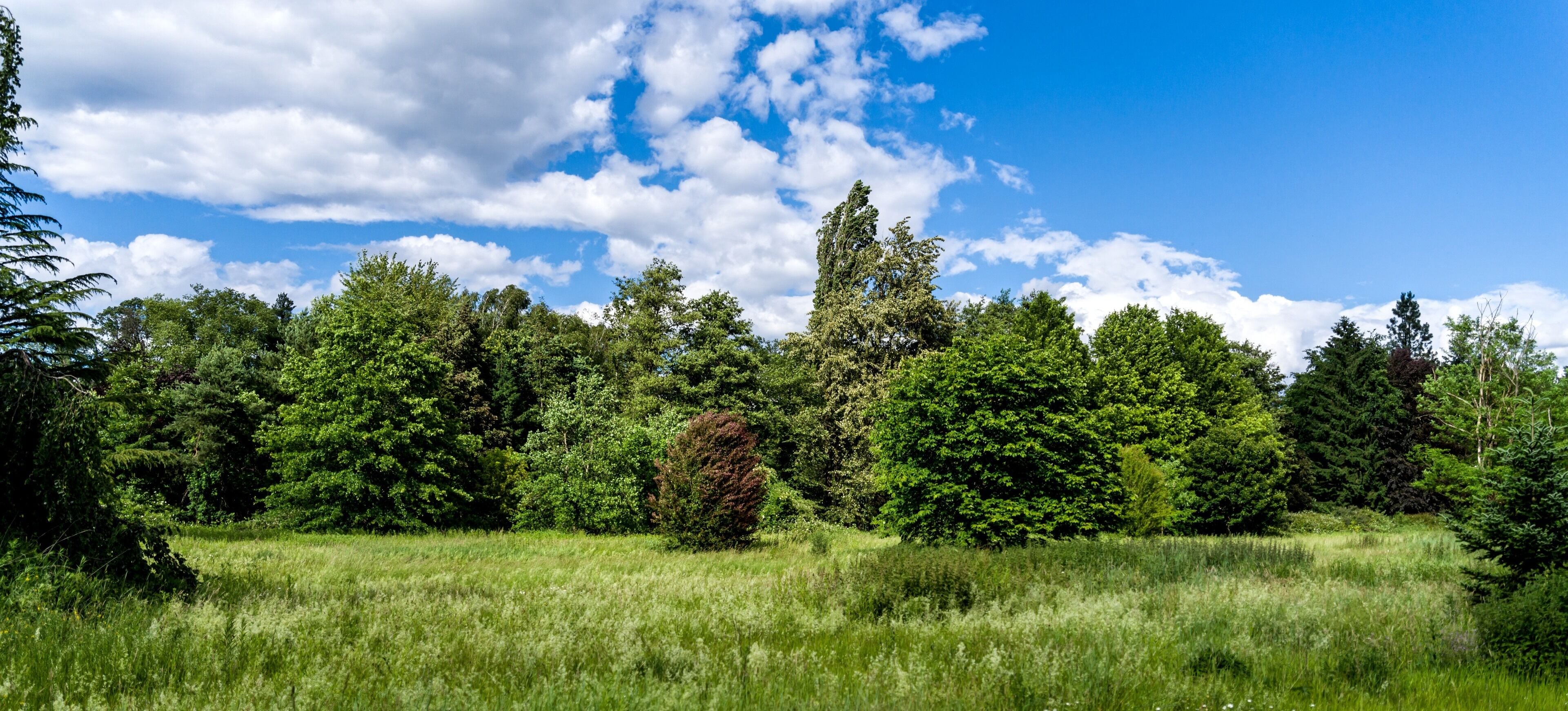 Bilder aus dem Queen-Auguste-Victoria-Park in Umkirch