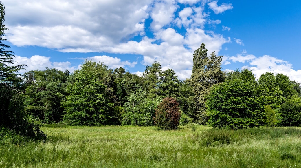 Bilder aus dem Queen-Auguste-Victoria-Park in Umkirch