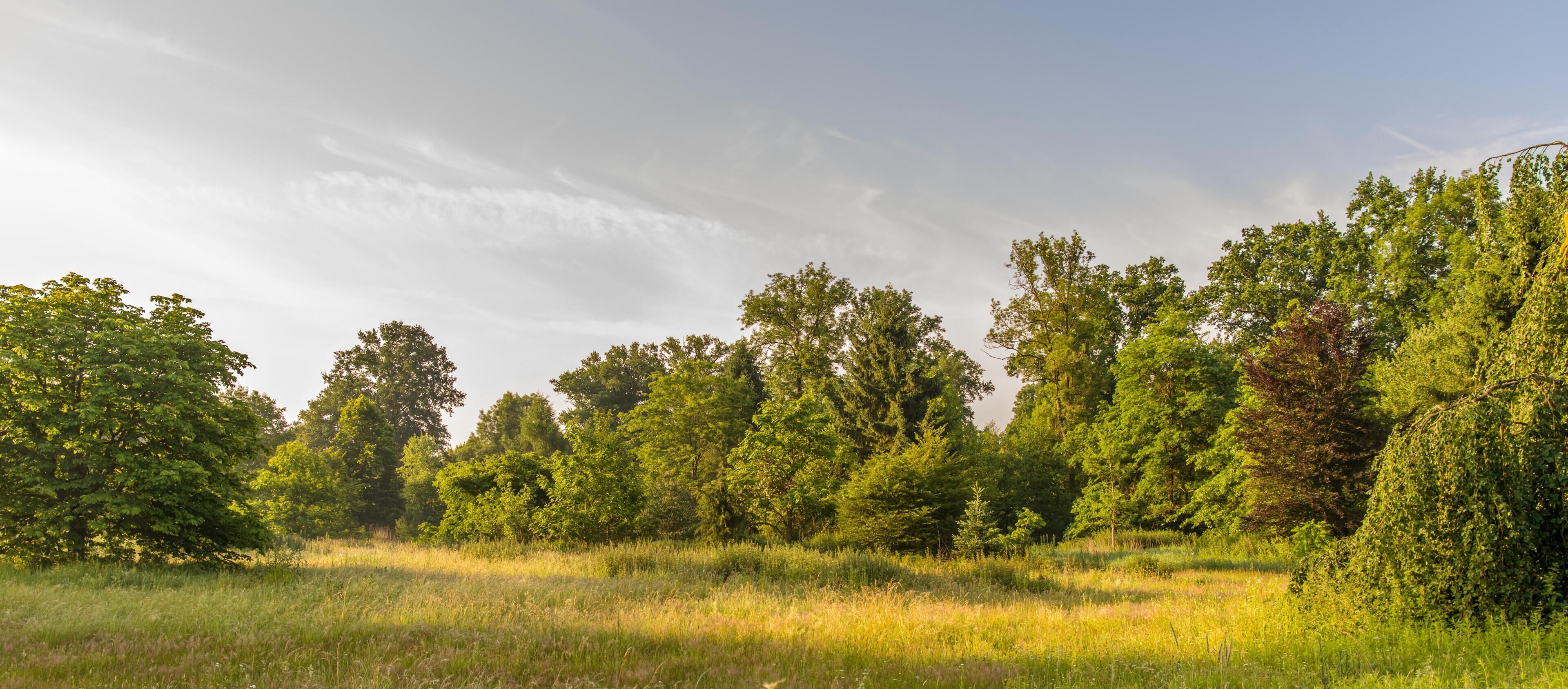 Bilder aus dem Queen-Auguste-Victoria-Park in Umkirch
