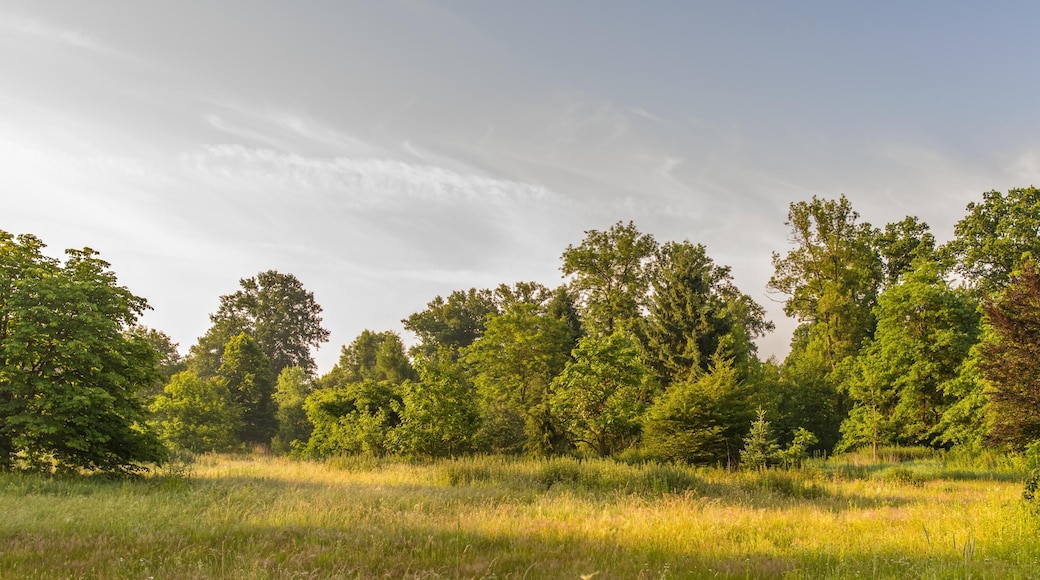Bilder aus dem Queen-Auguste-Victoria-Park in Umkirch