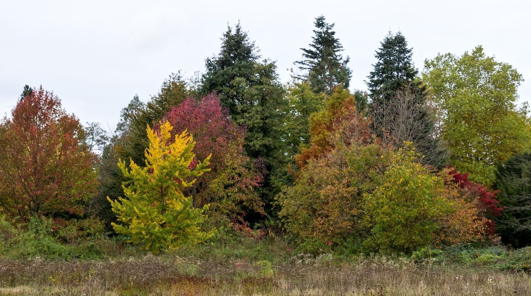 Bilder aus dem Queen-Auguste-Victoria-Park in Umkirch