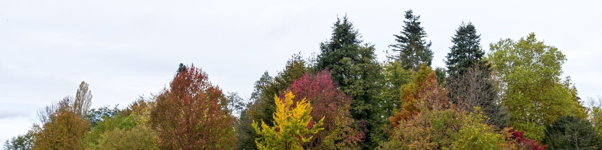Bilder aus dem Queen-Auguste-Victoria-Park in Umkirch