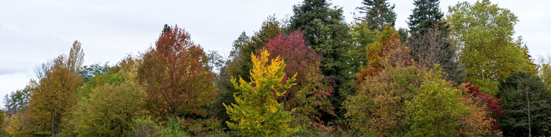 Bilder aus dem Queen-Auguste-Victoria-Park in Umkirch