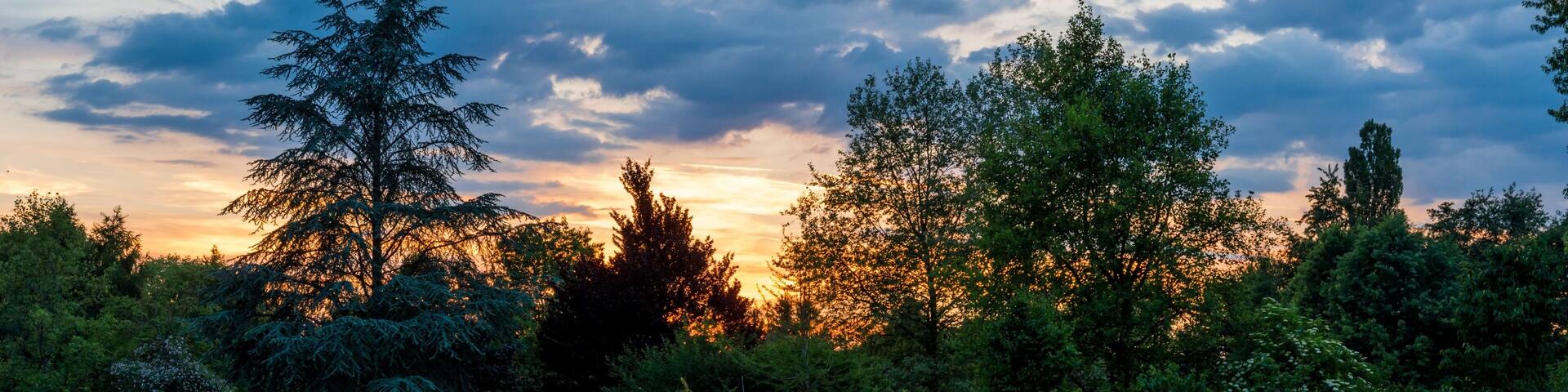 Bilder aus dem Queen-Auguste-Victoria-Park in Umkirch Sonnenuntergang im Park