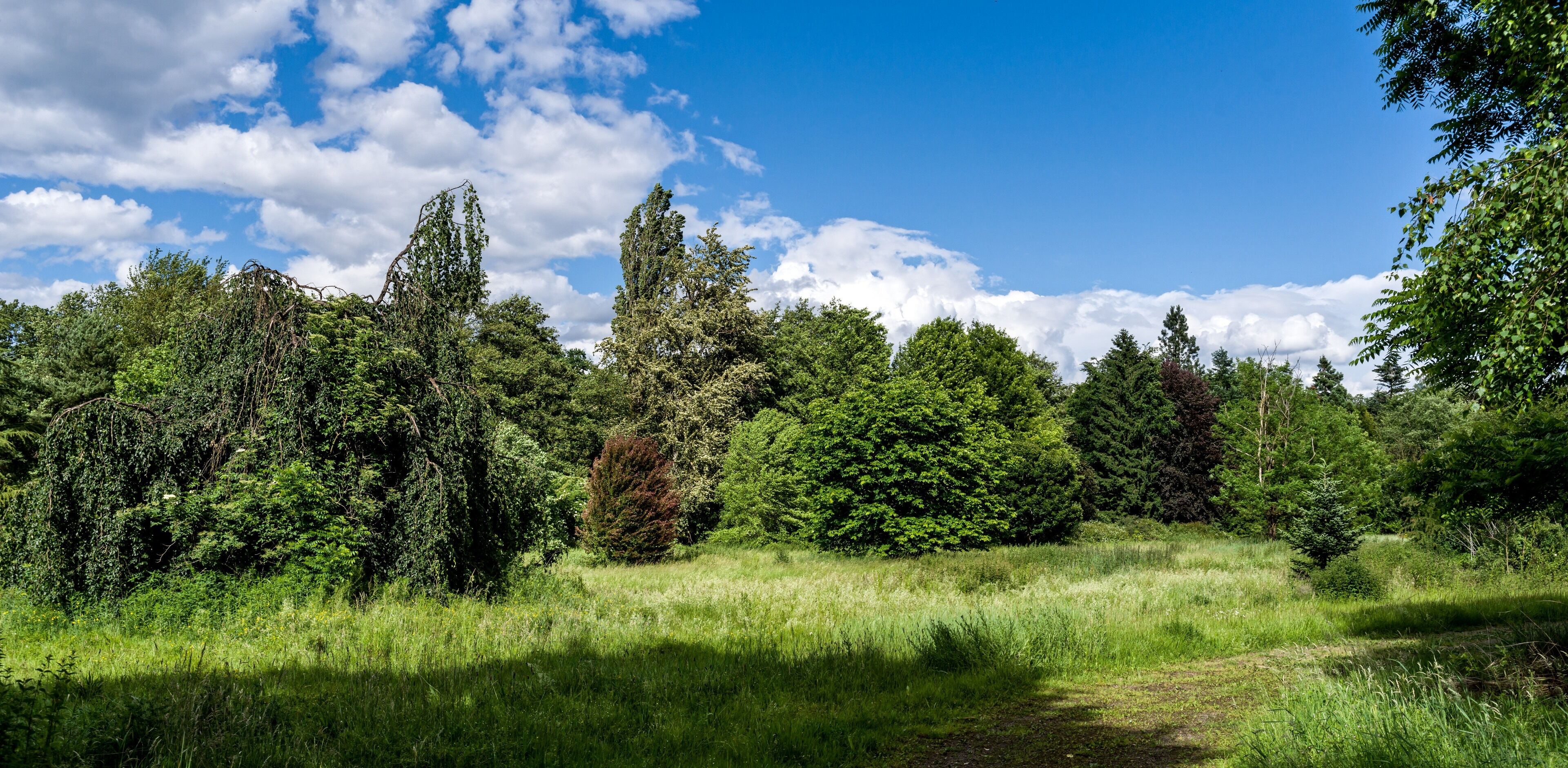 Bilder aus dem Queen-Auguste-Victoria-Park in Umkirch