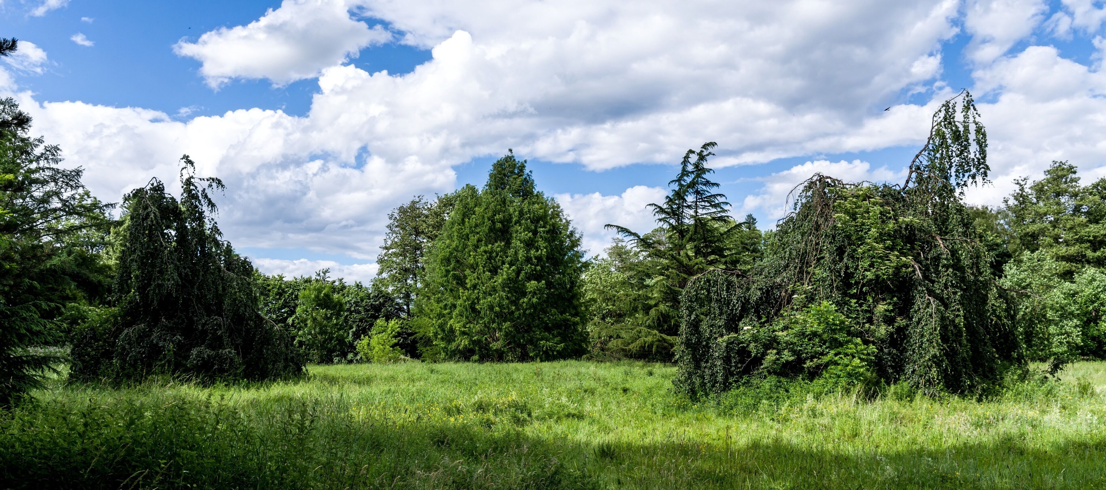 Bilder aus dem Queen-Auguste-Victoria-Park in Umkirch