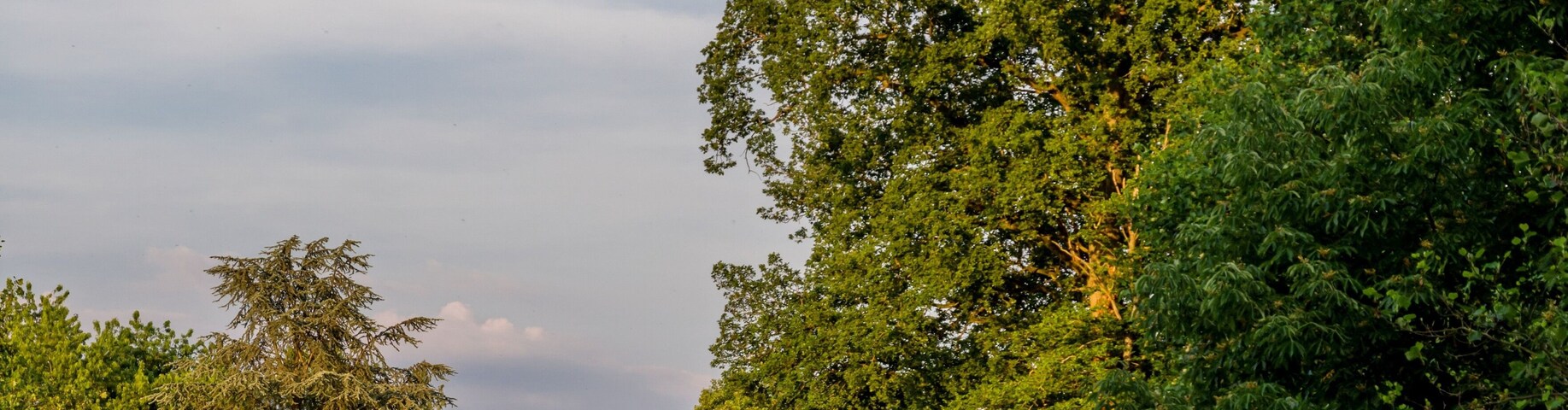 Bilder aus dem Queen-Auguste-Victoria-Park in Umkirch