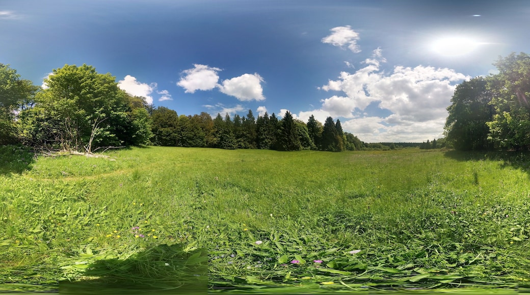 Photosphere: "Naturschutzgebiet In der Breungeshainer Heide" in "Naturpark Hoher Vogelsberg" near Geiselstein Ulrichstein, Hesse, Germany