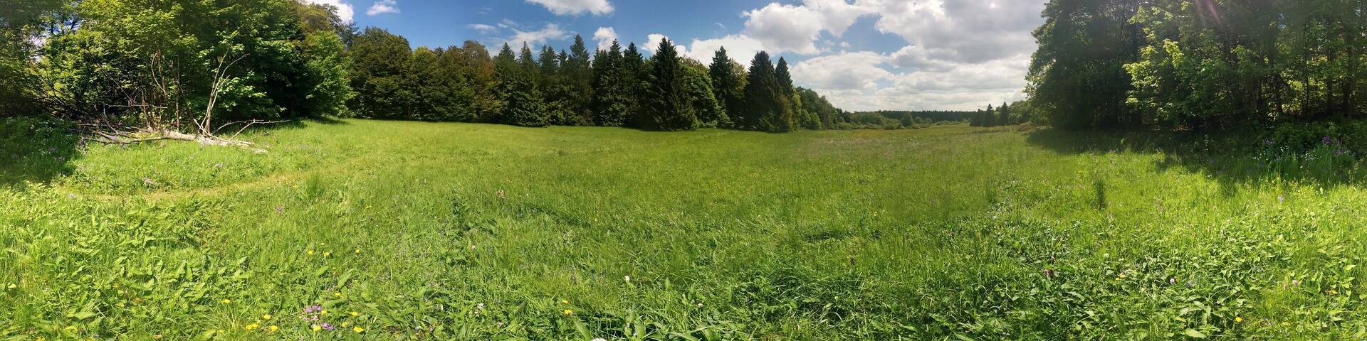 Photosphere: "Naturschutzgebiet In der Breungeshainer Heide" in "Naturpark Hoher Vogelsberg" near Geiselstein Ulrichstein, Hesse, Germany