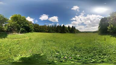 Photosphere: "Naturschutzgebiet In der Breungeshainer Heide" in "Naturpark Hoher Vogelsberg" near Geiselstein Ulrichstein, Hesse, Germany