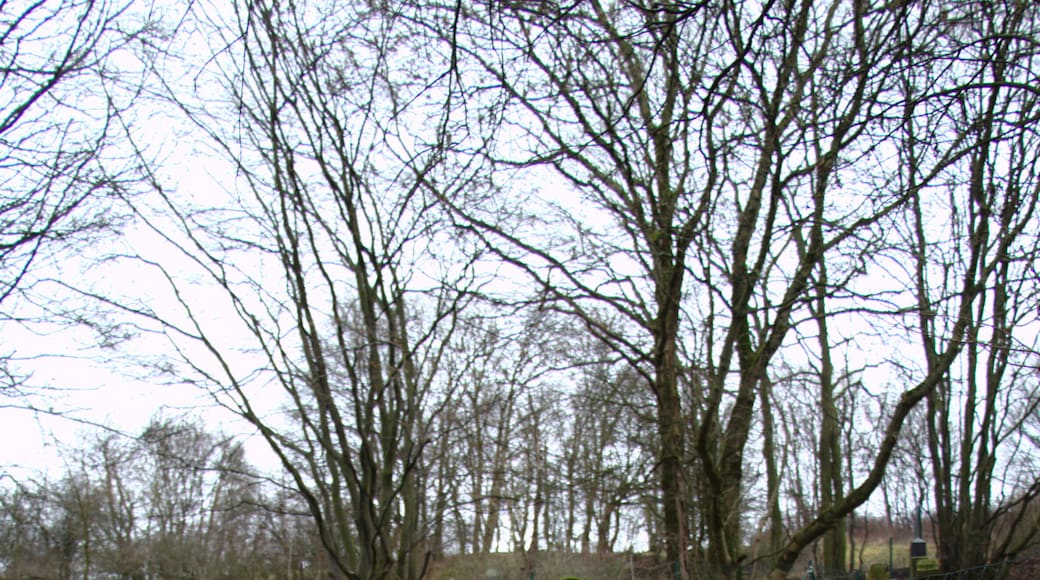 This is a picture of the hessian Kulturdenkmal (cultural monument) with the ID