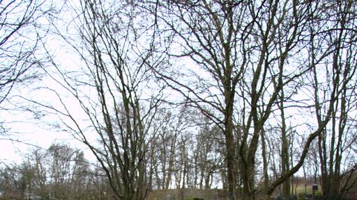 This is a picture of the hessian Kulturdenkmal (cultural monument) with the ID