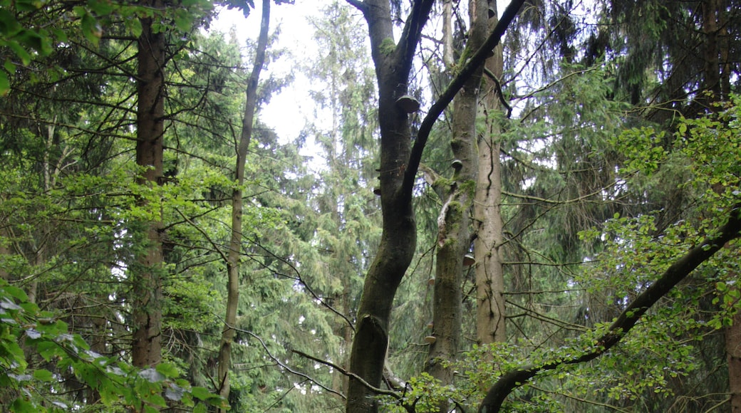 This is a picture of the protected area listed at WDPA under the ID