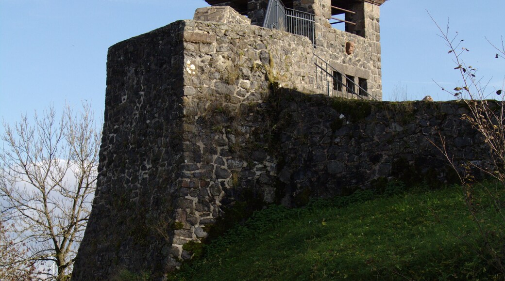 This is a picture of the hessian Kulturdenkmal (cultural monument) with the ID