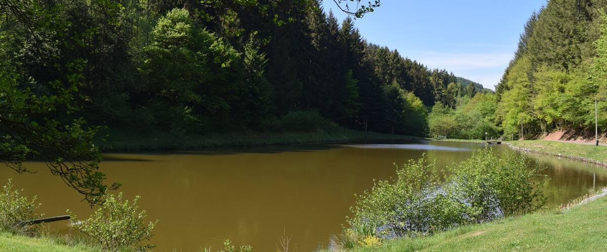 A calm river surrounded by lush greenery and trees.