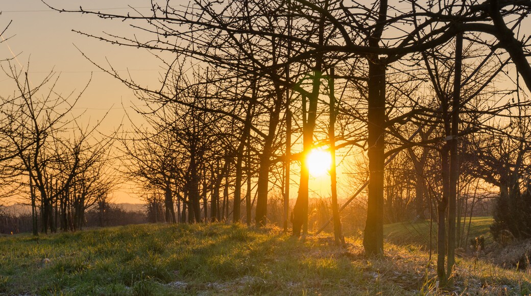 Hollern-Twielenfleth