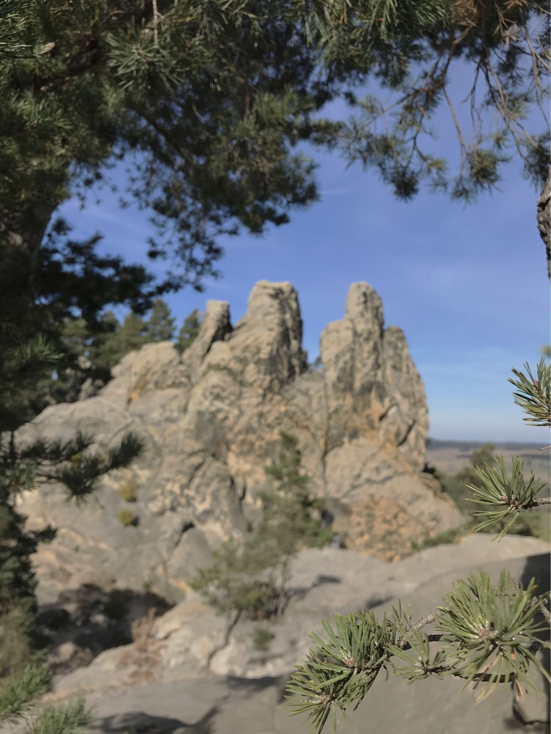 A rocky mountain with pine trees in the foreground.