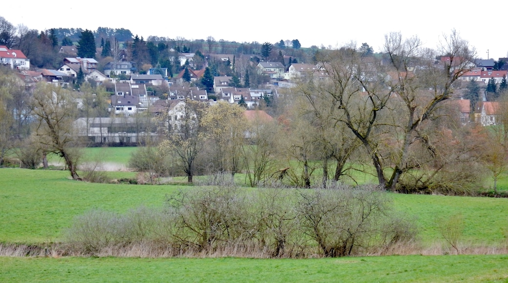 Die Würm bei Mühlhausen